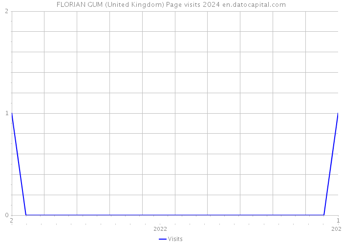 FLORIAN GUM (United Kingdom) Page visits 2024 