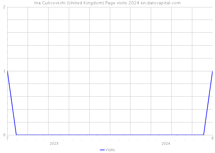 Ina Culicovschi (United Kingdom) Page visits 2024 