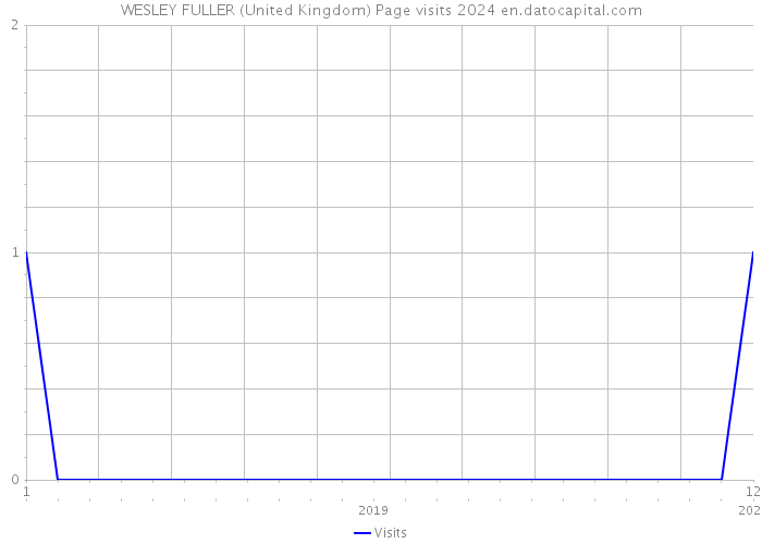 WESLEY FULLER (United Kingdom) Page visits 2024 