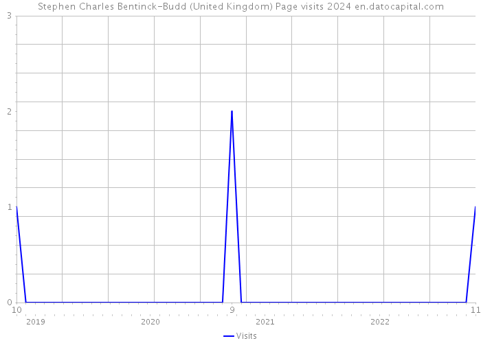 Stephen Charles Bentinck-Budd (United Kingdom) Page visits 2024 
