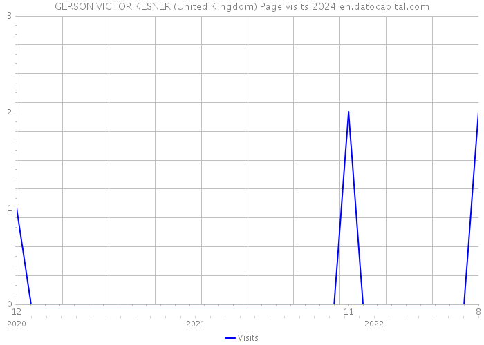 GERSON VICTOR KESNER (United Kingdom) Page visits 2024 