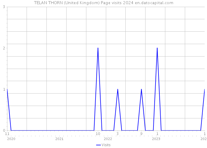 TELAN THORN (United Kingdom) Page visits 2024 