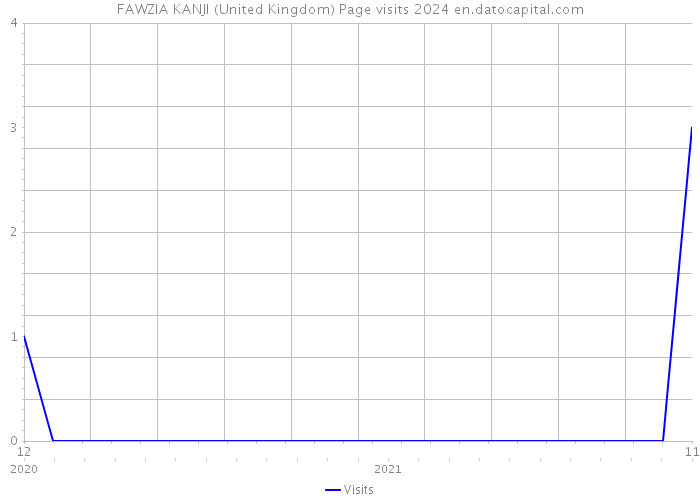 FAWZIA KANJI (United Kingdom) Page visits 2024 