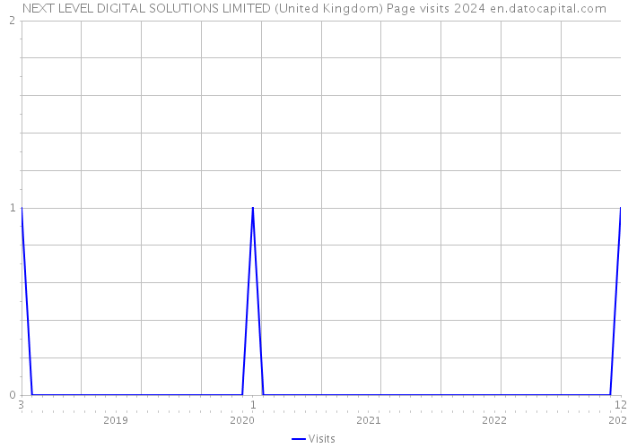 NEXT LEVEL DIGITAL SOLUTIONS LIMITED (United Kingdom) Page visits 2024 