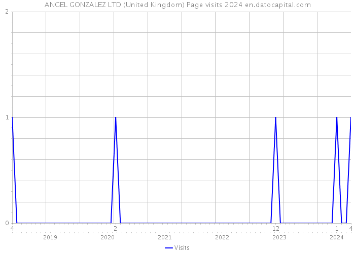 ANGEL GONZALEZ LTD (United Kingdom) Page visits 2024 