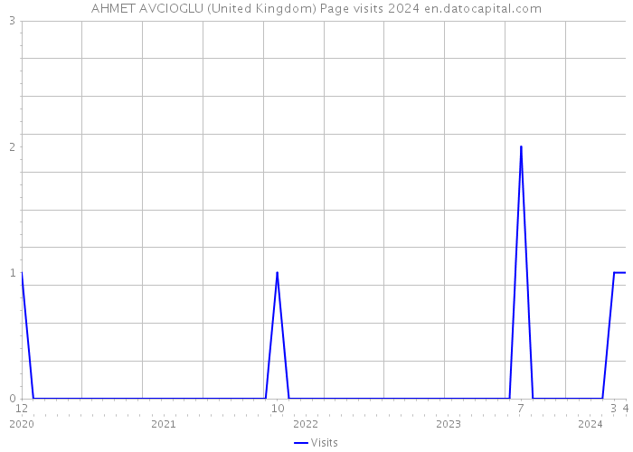AHMET AVCIOGLU (United Kingdom) Page visits 2024 