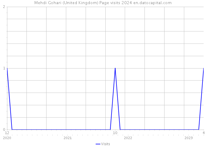 Mehdi Gohari (United Kingdom) Page visits 2024 