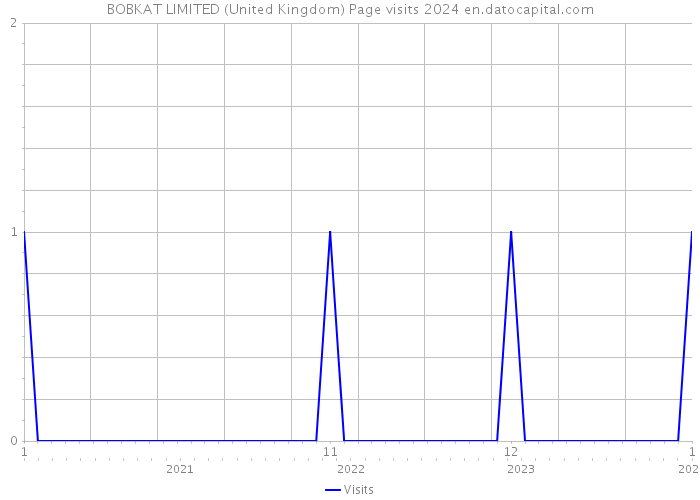 BOBKAT LIMITED (United Kingdom) Page visits 2024 