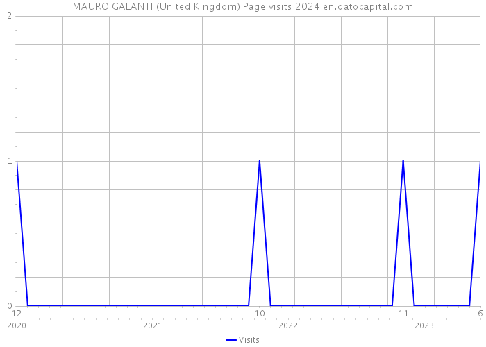 MAURO GALANTI (United Kingdom) Page visits 2024 