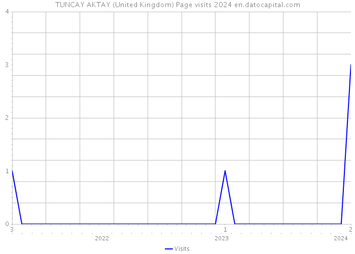 TUNCAY AKTAY (United Kingdom) Page visits 2024 
