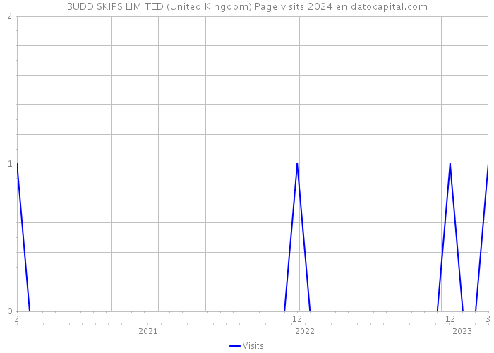 BUDD SKIPS LIMITED (United Kingdom) Page visits 2024 