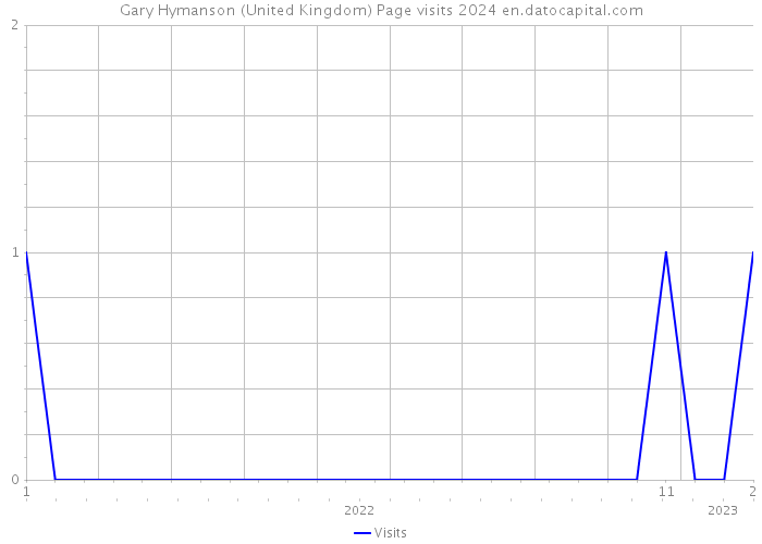 Gary Hymanson (United Kingdom) Page visits 2024 