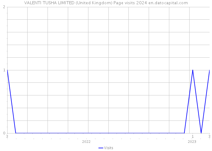 VALENTI TUSHA LIMITED (United Kingdom) Page visits 2024 