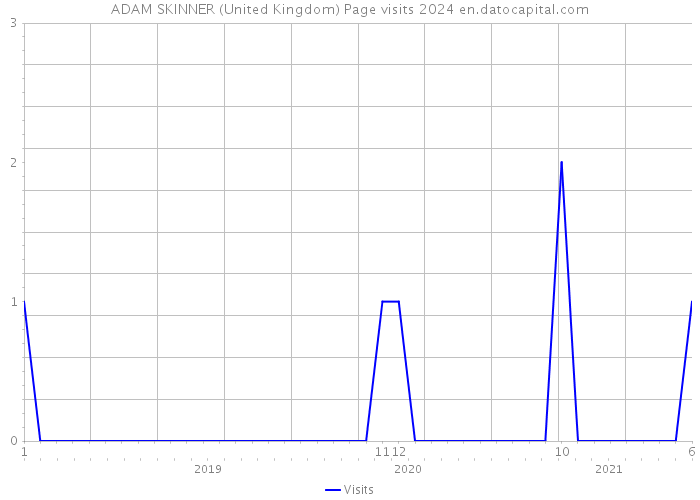 ADAM SKINNER (United Kingdom) Page visits 2024 