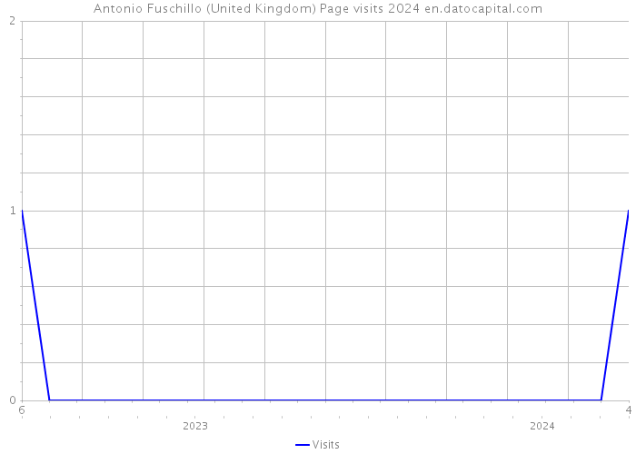 Antonio Fuschillo (United Kingdom) Page visits 2024 
