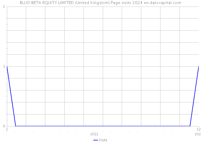 BLUO BETA EQUITY LIMITED (United Kingdom) Page visits 2024 