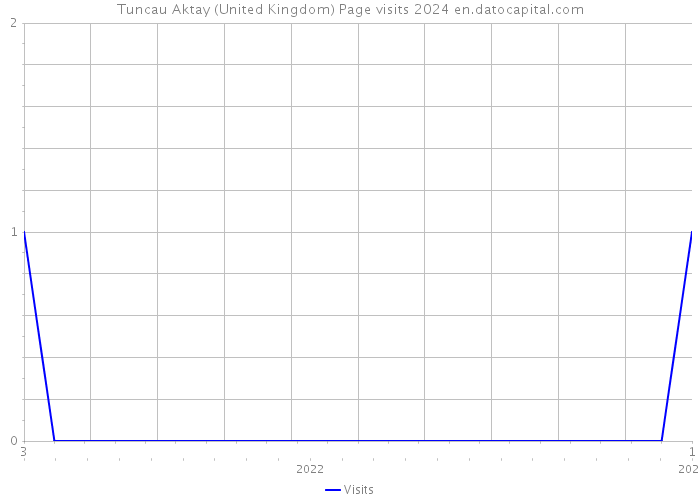 Tuncau Aktay (United Kingdom) Page visits 2024 
