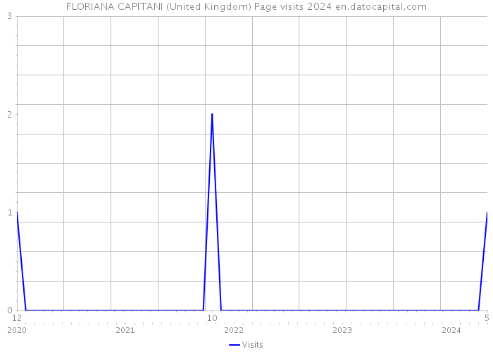 FLORIANA CAPITANI (United Kingdom) Page visits 2024 