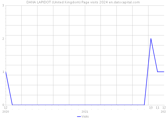 DANA LAPIDOT (United Kingdom) Page visits 2024 