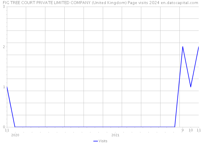 FIG TREE COURT PRIVATE LIMITED COMPANY (United Kingdom) Page visits 2024 