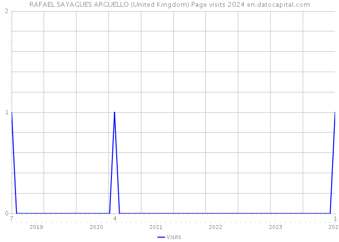 RAFAEL SAYAGUES ARGUELLO (United Kingdom) Page visits 2024 