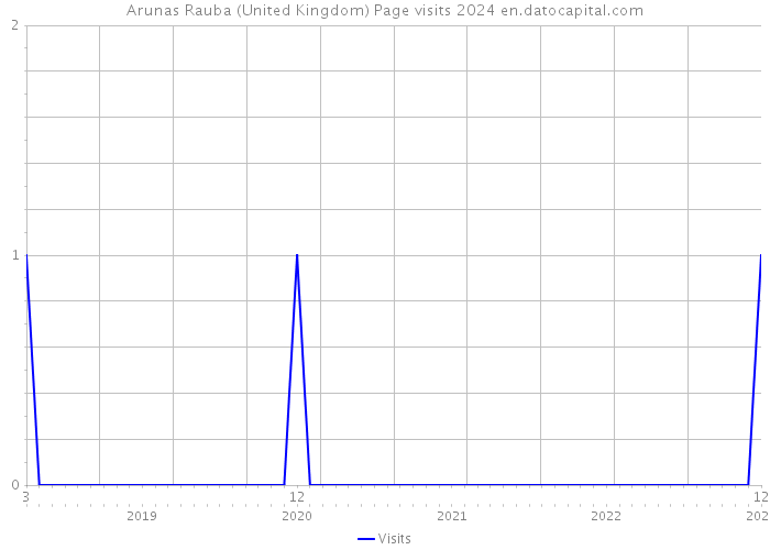 Arunas Rauba (United Kingdom) Page visits 2024 