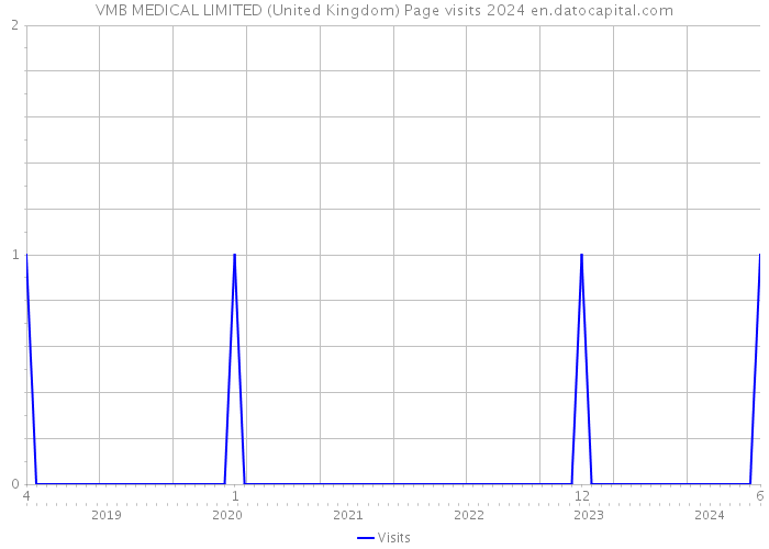 VMB MEDICAL LIMITED (United Kingdom) Page visits 2024 