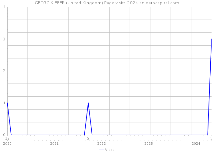 GEORG KIEBER (United Kingdom) Page visits 2024 