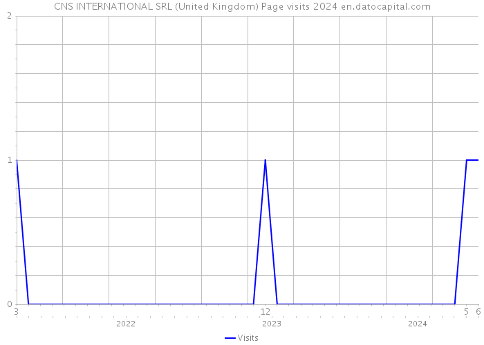 CNS INTERNATIONAL SRL (United Kingdom) Page visits 2024 