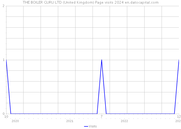 THE BOILER GURU LTD (United Kingdom) Page visits 2024 
