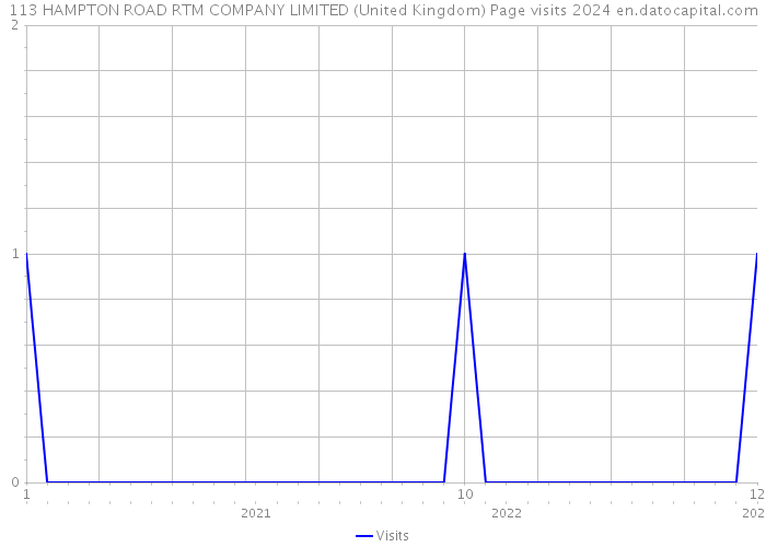 113 HAMPTON ROAD RTM COMPANY LIMITED (United Kingdom) Page visits 2024 