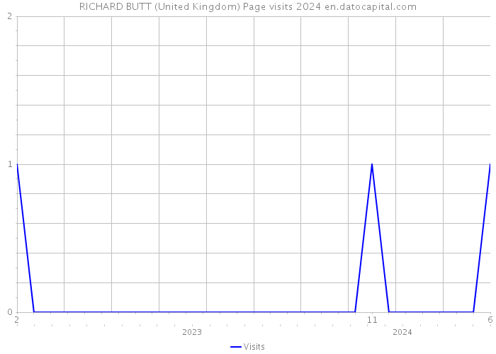 RICHARD BUTT (United Kingdom) Page visits 2024 