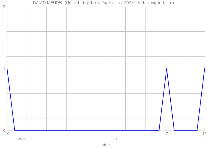 DAVID MENDEL (United Kingdom) Page visits 2024 