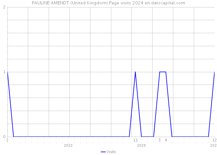 PAULINE AMENDT (United Kingdom) Page visits 2024 