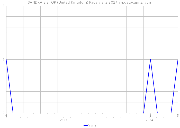 SANDRA BISHOP (United Kingdom) Page visits 2024 