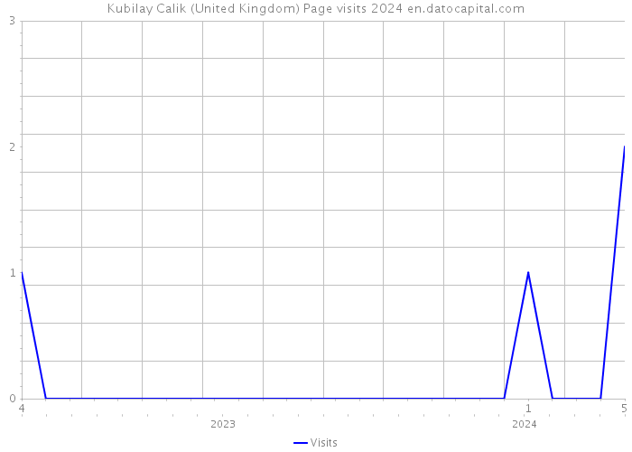 Kubilay Calik (United Kingdom) Page visits 2024 