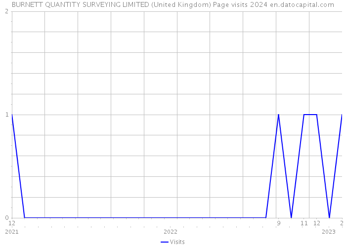 BURNETT QUANTITY SURVEYING LIMITED (United Kingdom) Page visits 2024 