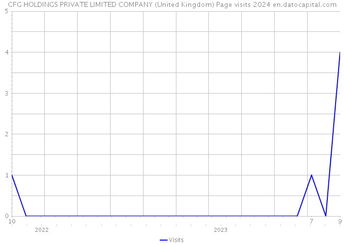 CFG HOLDINGS PRIVATE LIMITED COMPANY (United Kingdom) Page visits 2024 