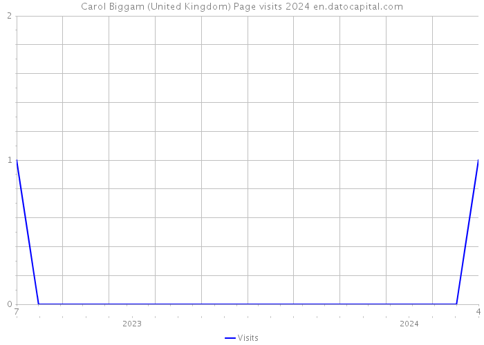 Carol Biggam (United Kingdom) Page visits 2024 