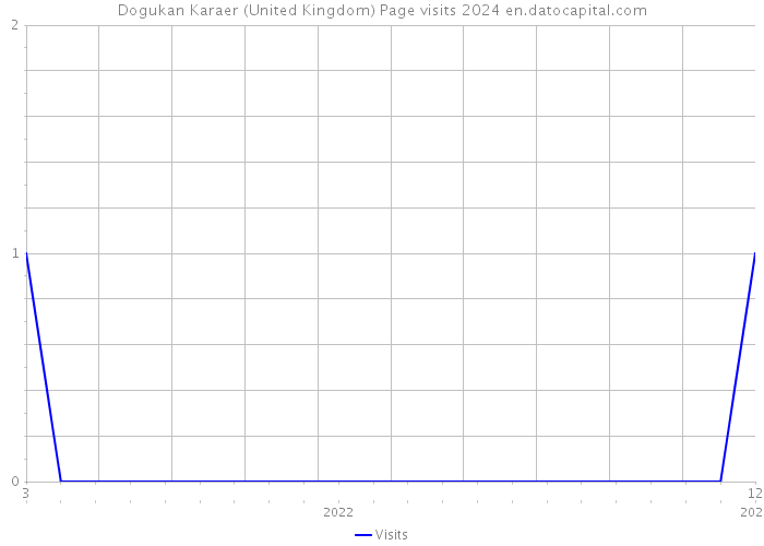 Dogukan Karaer (United Kingdom) Page visits 2024 