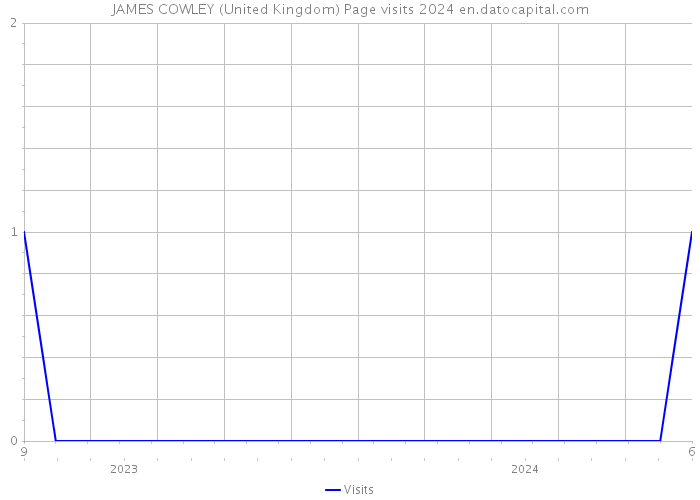 JAMES COWLEY (United Kingdom) Page visits 2024 
