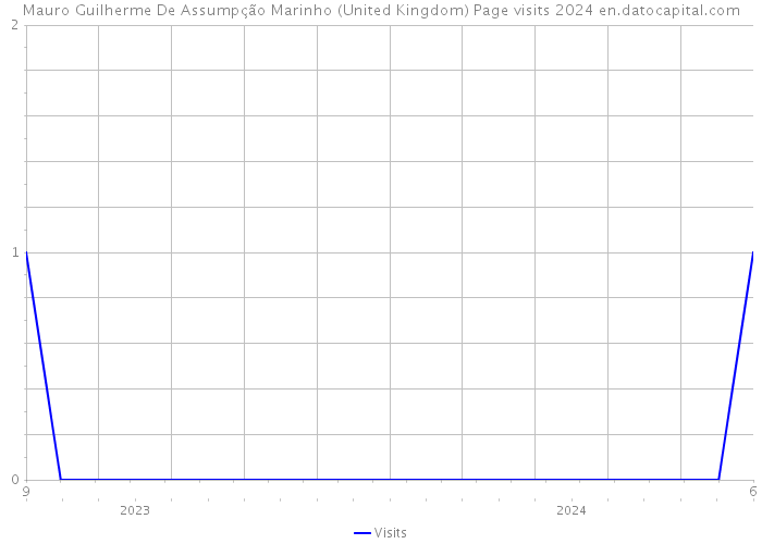 Mauro Guilherme De Assumpção Marinho (United Kingdom) Page visits 2024 