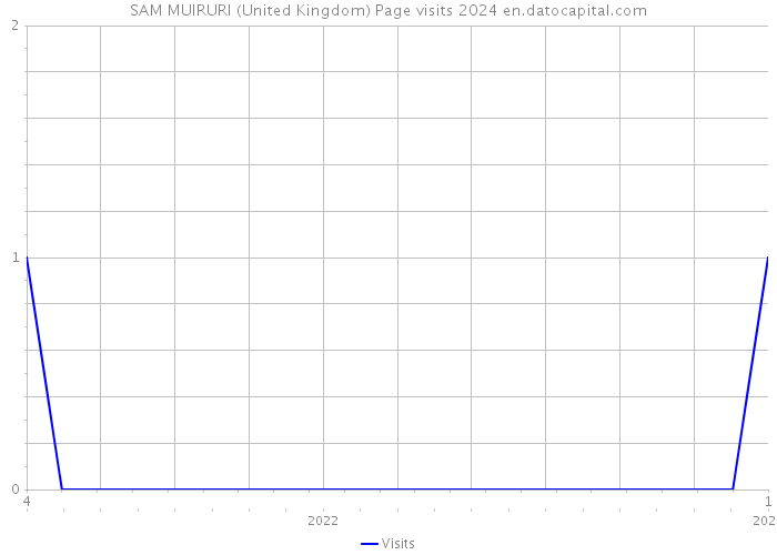 SAM MUIRURI (United Kingdom) Page visits 2024 