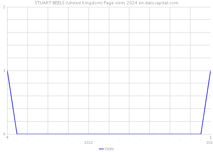 STUART BEELS (United Kingdom) Page visits 2024 