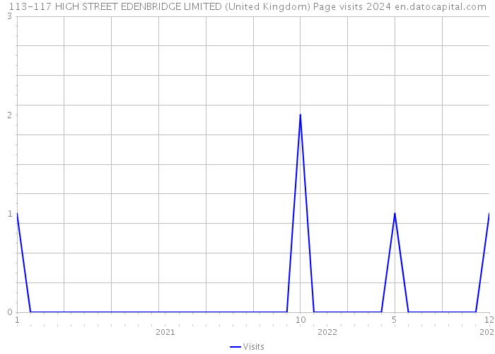 113-117 HIGH STREET EDENBRIDGE LIMITED (United Kingdom) Page visits 2024 