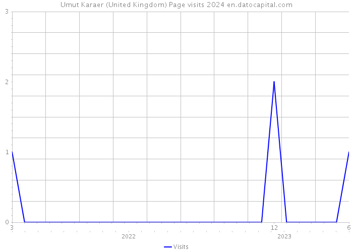 Umut Karaer (United Kingdom) Page visits 2024 