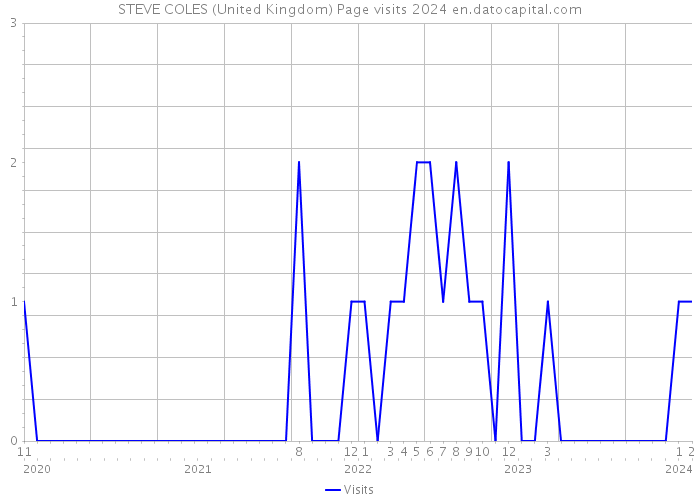 STEVE COLES (United Kingdom) Page visits 2024 