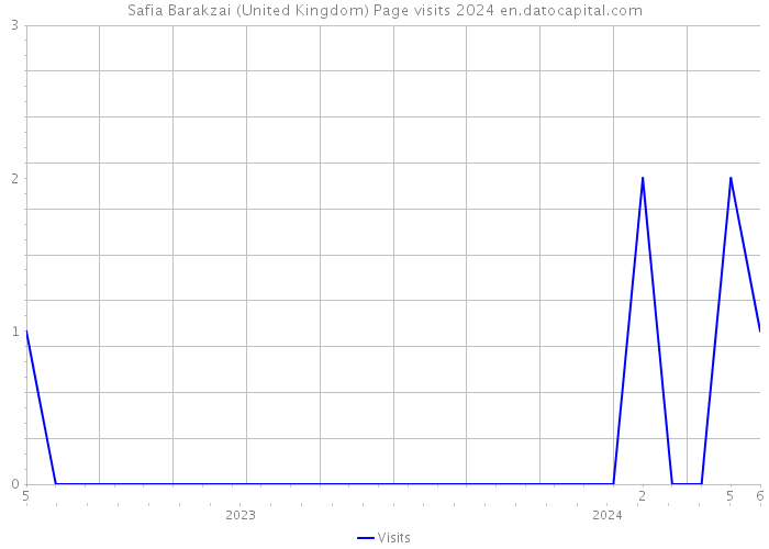 Safia Barakzai (United Kingdom) Page visits 2024 