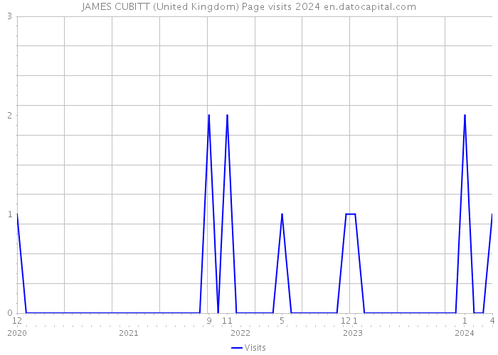 JAMES CUBITT (United Kingdom) Page visits 2024 