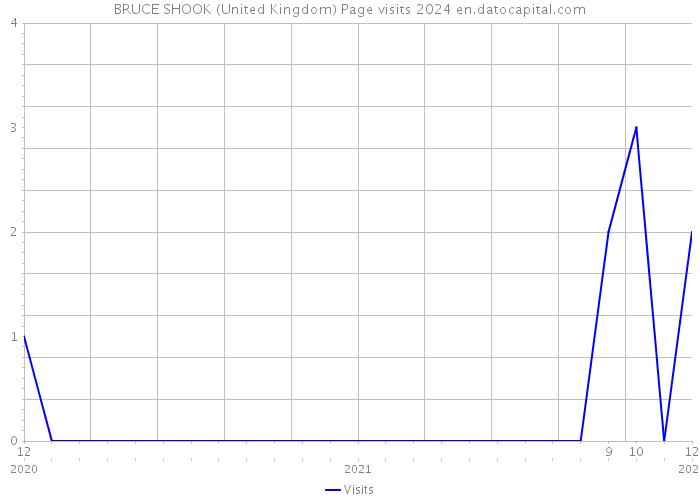 BRUCE SHOOK (United Kingdom) Page visits 2024 